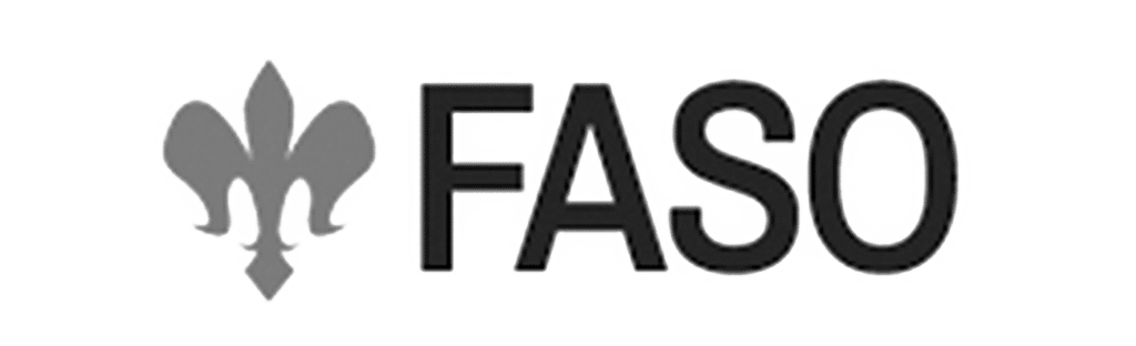 FASO - Fine Art Studio Online